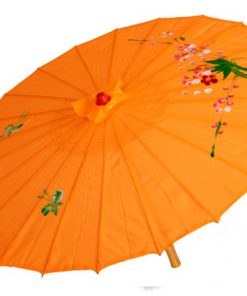 chinese paraplu