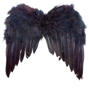 Zwarte vleugels 33 op 34 cm