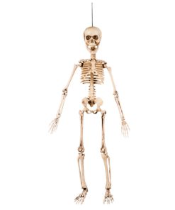 Beweegbaar skelet 50cm decoratie